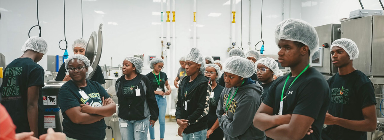 Group Of Students