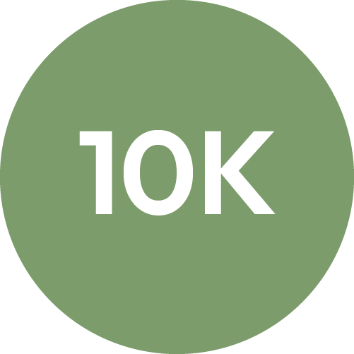 10K